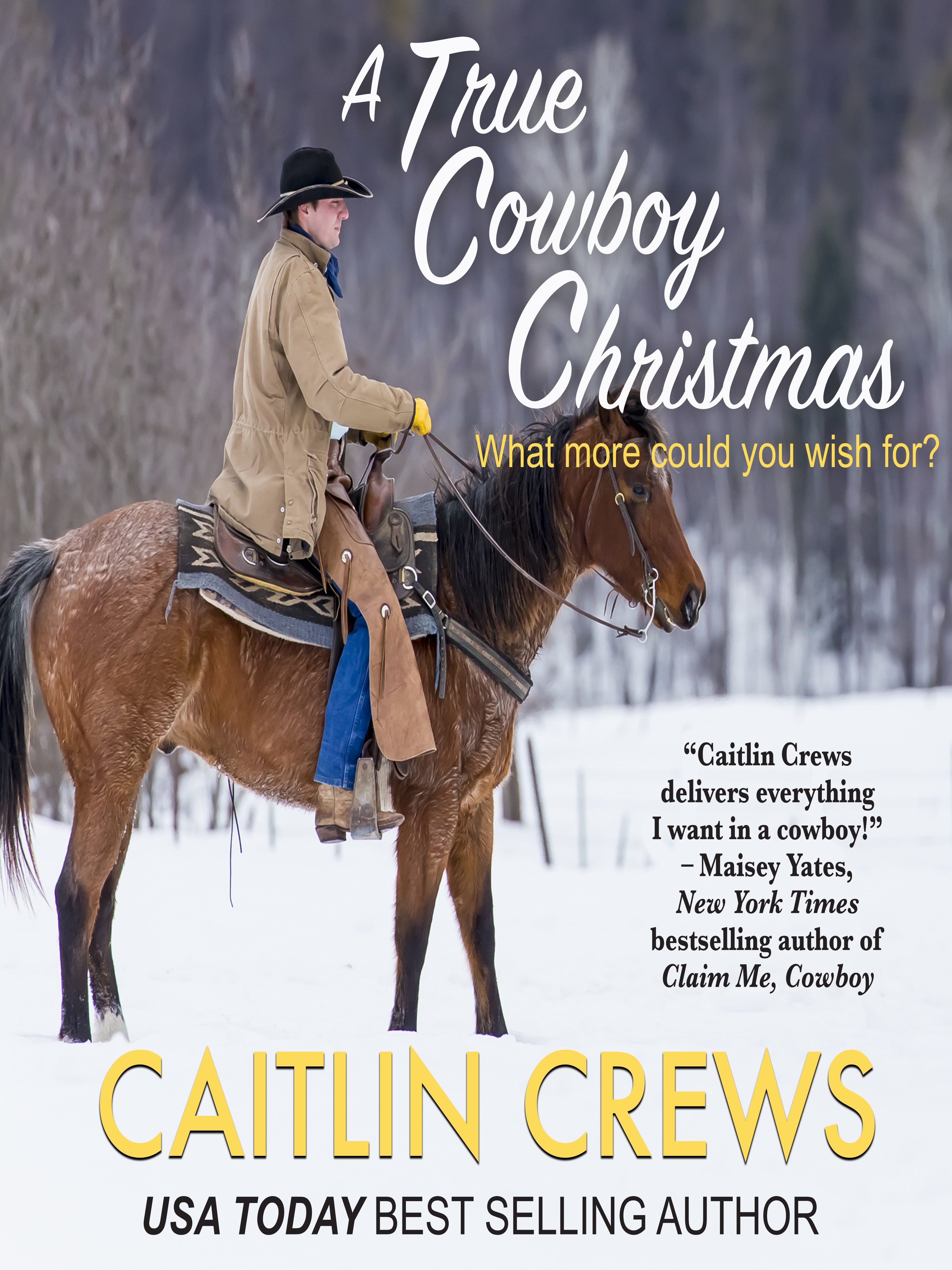 A True Cowboy Christmas Cold River Ranch, Book 1 JournalStone